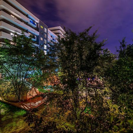 Dragonfly Studio With Garden Brasov Exterior photo