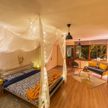 Dragonfly Studio With Garden Brasov Exterior photo
