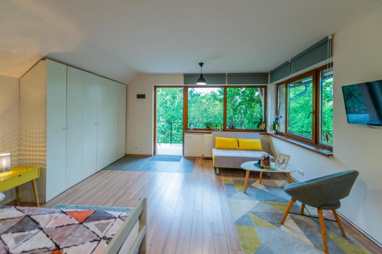 Dragonfly Studio With Garden Brasov Exterior photo