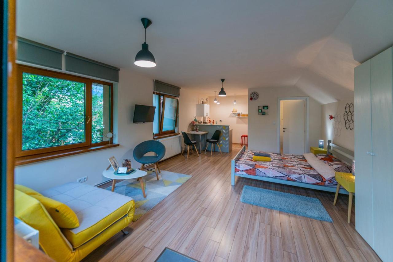 Dragonfly Studio With Garden Brasov Exterior photo