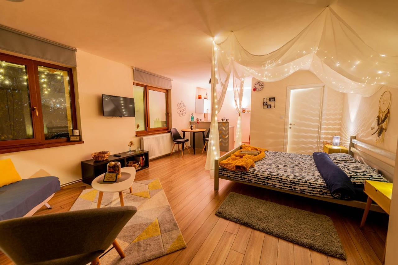 Dragonfly Studio With Garden Brasov Exterior photo