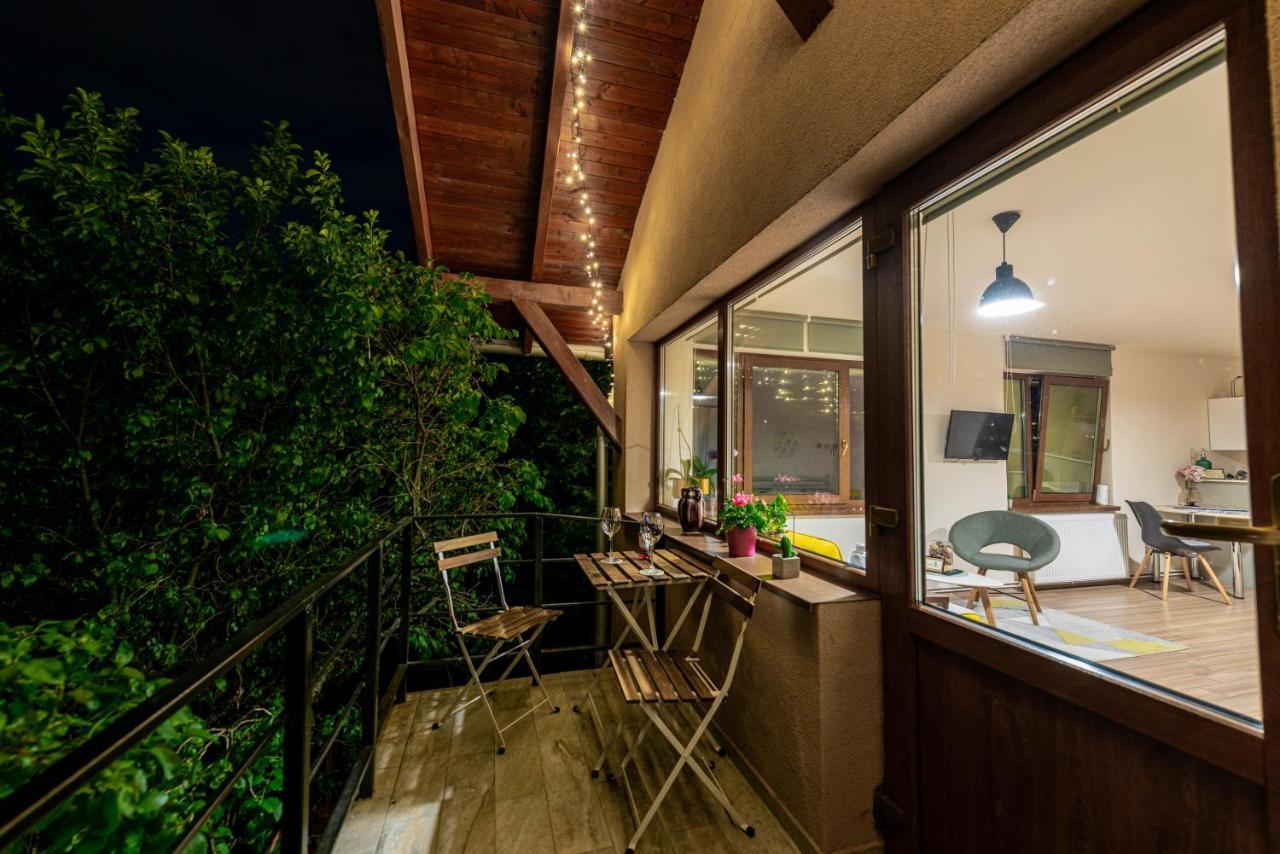 Dragonfly Studio With Garden Brasov Exterior photo
