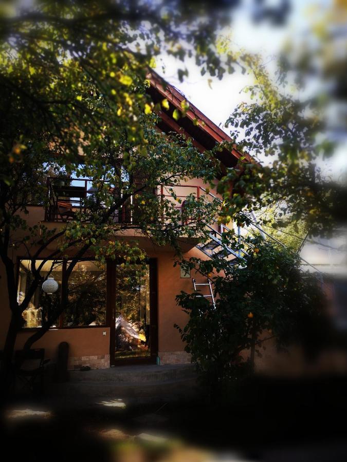 Dragonfly Studio With Garden Brasov Exterior photo